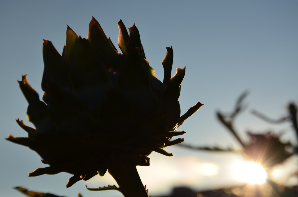 London/River Lea/DSC_0264.JPG